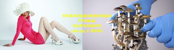эйфоретик Абаза