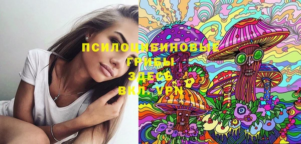 MDMA Каменка