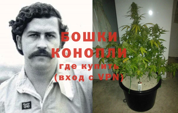 ПСИЛОЦИБИНОВЫЕ ГРИБЫ Абинск