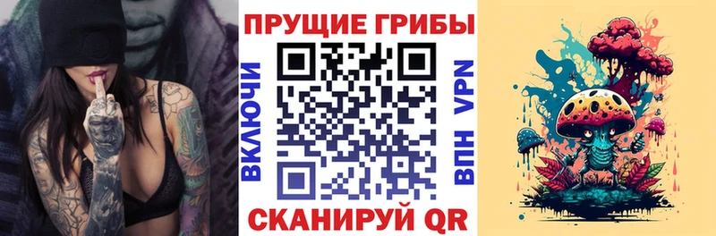 Псилоцибиновые грибы мухоморы  Сольвычегодск 